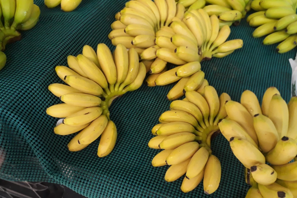 Kele ka Photo, Images and Pics 1 kele ki image